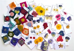 Flower Items Only $600