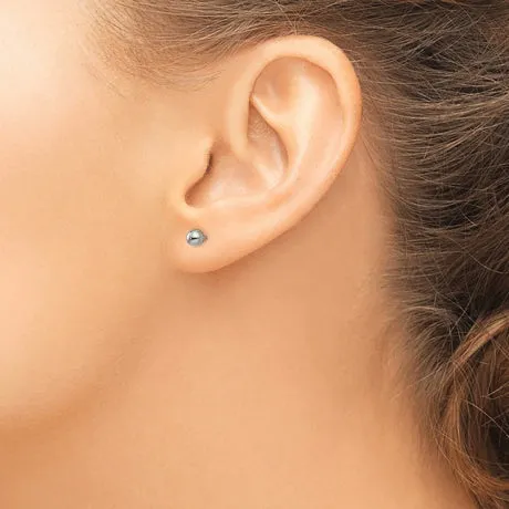 Inverness Titanium 4mm Ball Post Earrings