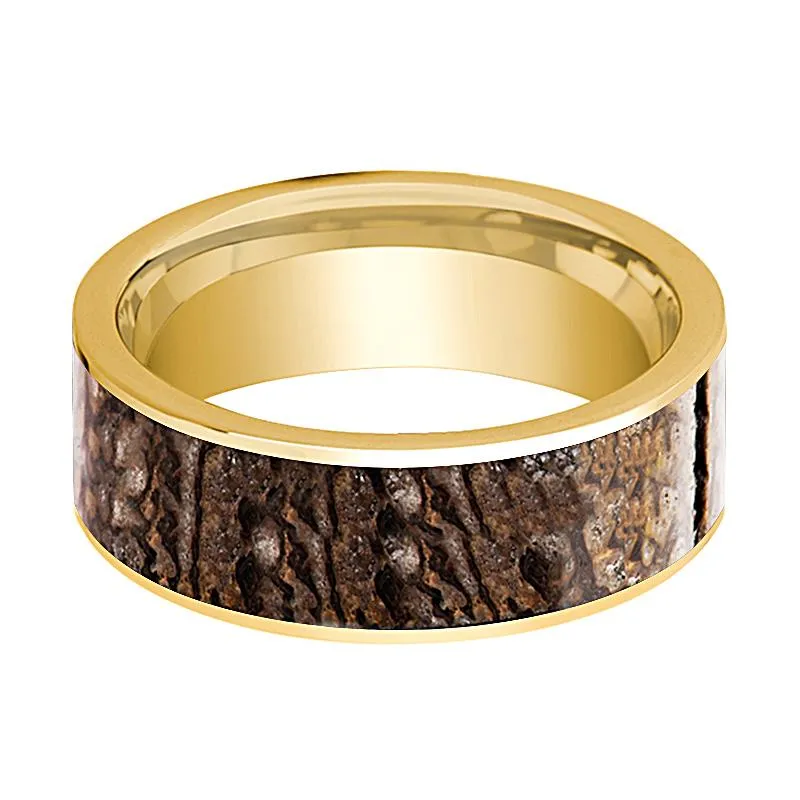 STEG | 14k Yellow Gold Brown Dino Bone Ring